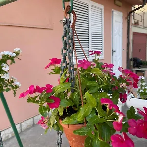 I Colori Della Quiete Ravenna